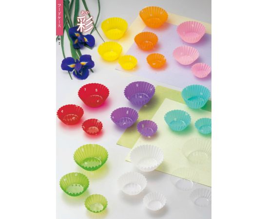 フードケース　彩　紫　8F