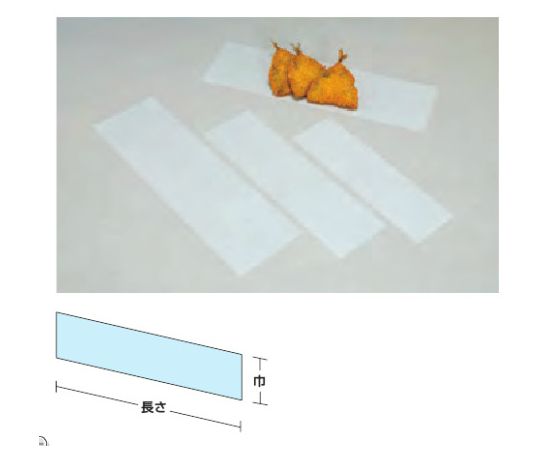 紙経木　№３０